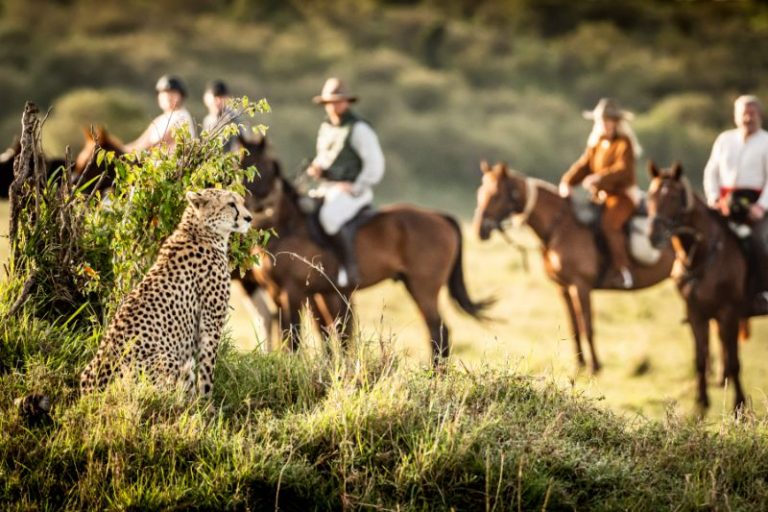 Kenya-Offbeat-Mara-800x533-58