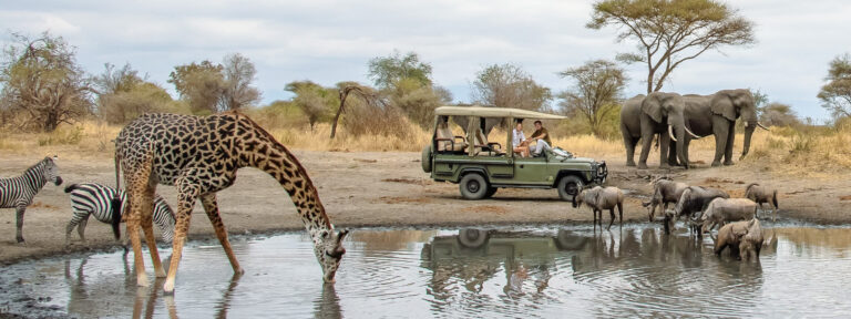 lake manyara