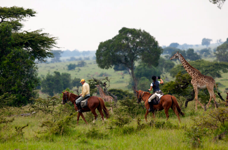 mara horse