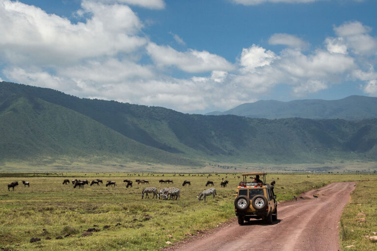 ngorongoro tz