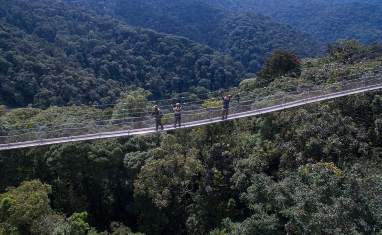 nyungwe