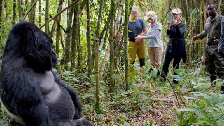 rwanda-trek-1536x862