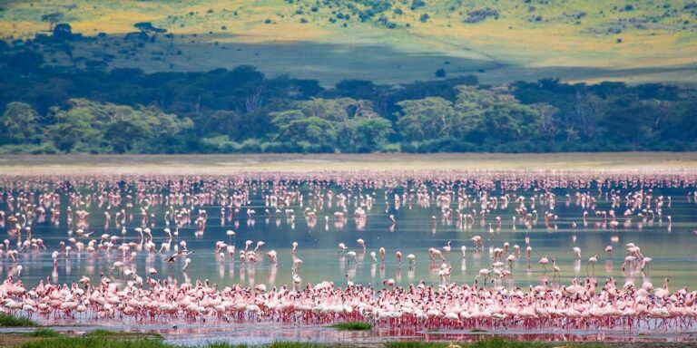 Lake-Manyara-National-Park-1200x600