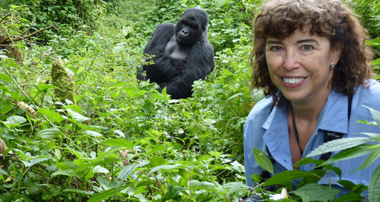 The Ultimate Guide to Gorilla Trekking in Africa 2025/2026