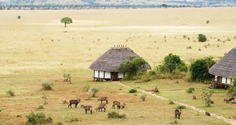 Why Uganda is Africa’s Best Kept Secret for Thrilling Safaris and Tours